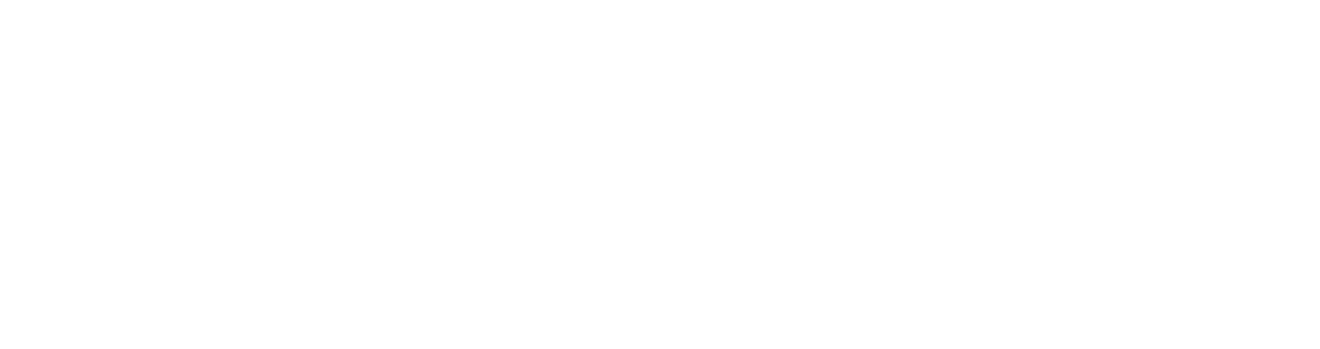 NVirtual Logo