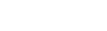 NVirtual Logo
